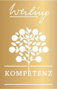 Design_ohne_Titel