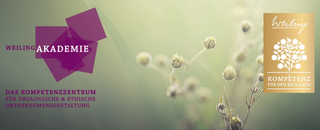Weiling-Akademie-Header-Mobil_2026